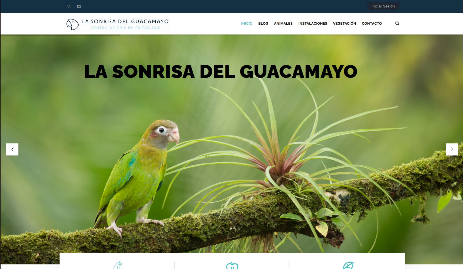 La Sonrisa del Guacamayo